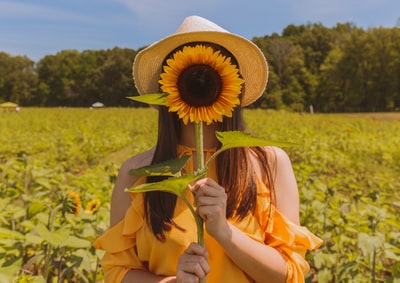 白天，一名妇女在树林附近的田野里用向日葵捂住脸